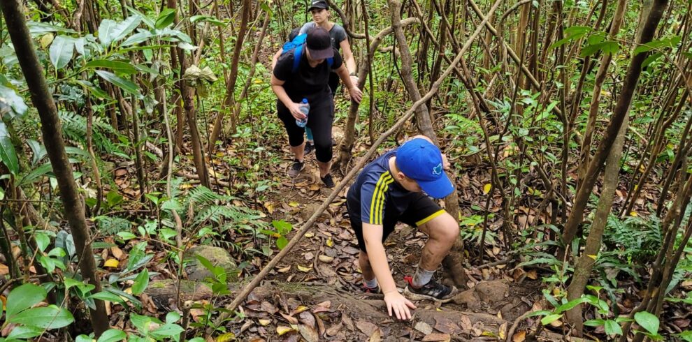 234b9824-37e7-4bfd-952c-37412a66cd03