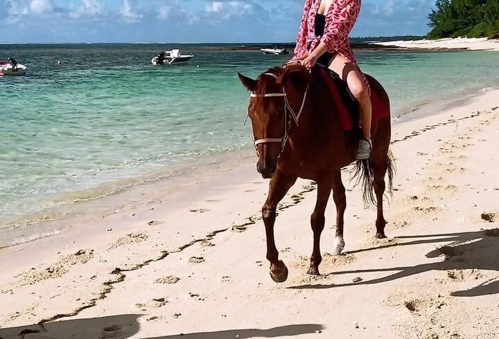 6c48e2ae-8278-4c0d-9077-65b4b77dd332