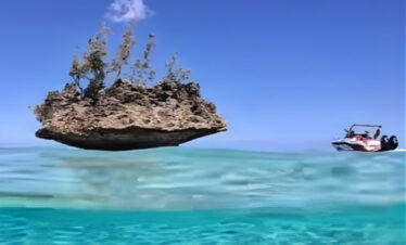Private Full-Day Dolphin Swim, Crystal Rock & Lunch Charter