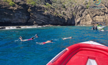 Private North Island Hopping & Dolphin Charters