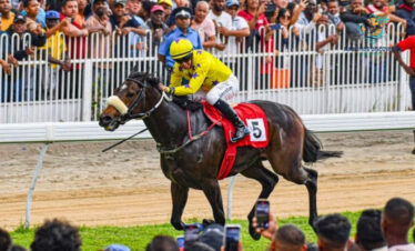 Exclusive Full-Day Horse Racing Experience – Champ de Mars