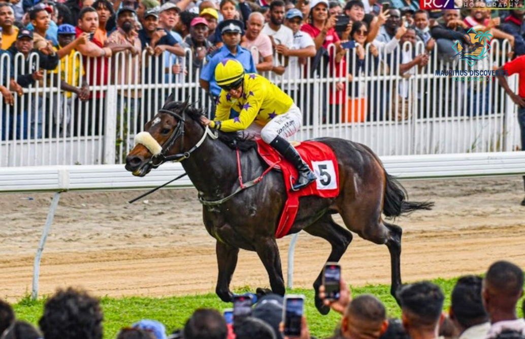 Jockey riding a racehorse at Champ de Mars racecourse in Port Louis, Mauritius