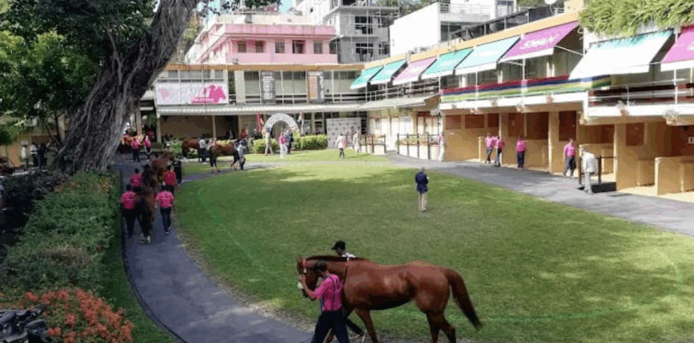 Screenshot 2025-11-07 at 16.08.12