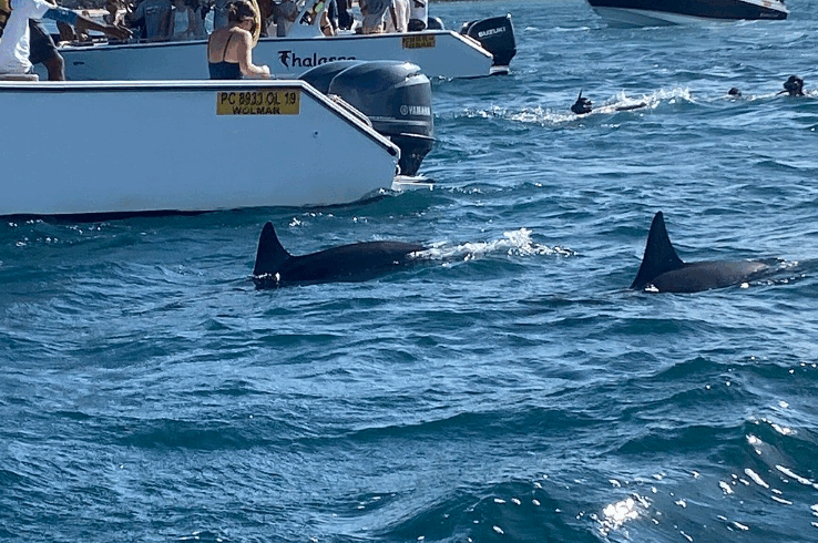 Screenshot 2025-11-07 at 16.40.20